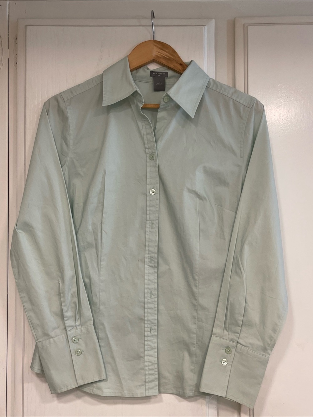 Ann Taylor Women's Mint Green Button-Down Dress Shirt